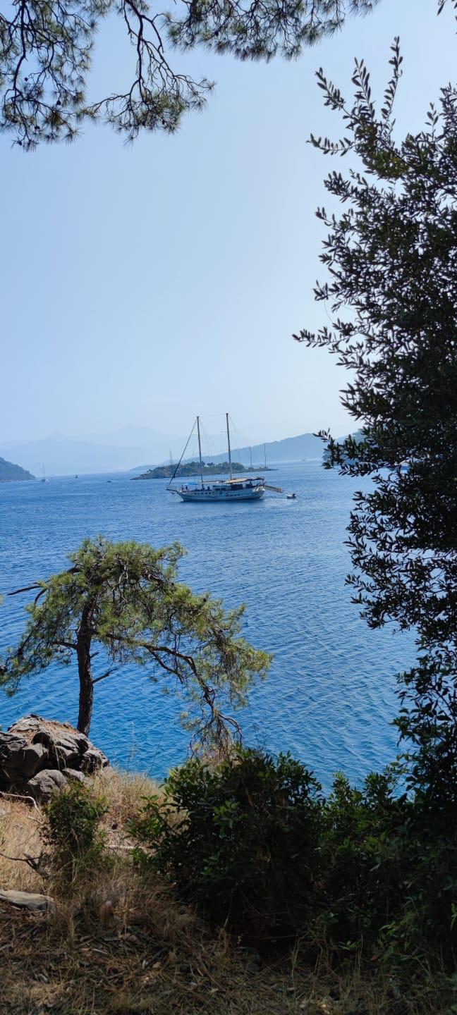 Kaş harbor with traditional boats